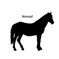 Annual Horse Recording